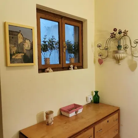 Green Home Apartament