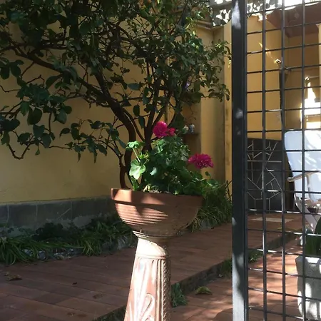 Green Home Recco