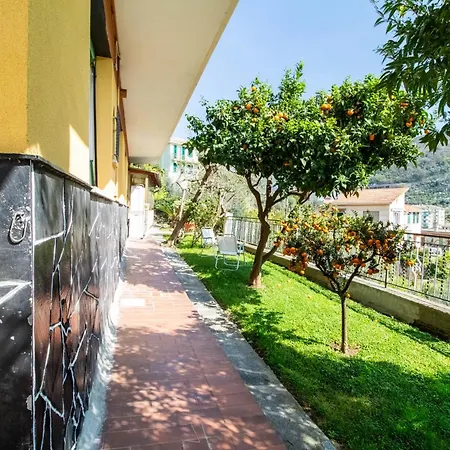 Apartment Green Home Recco