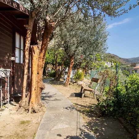 Green Home Apartment Recco
